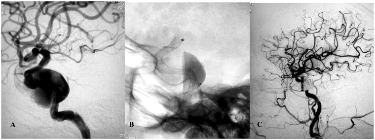 Figure 4.