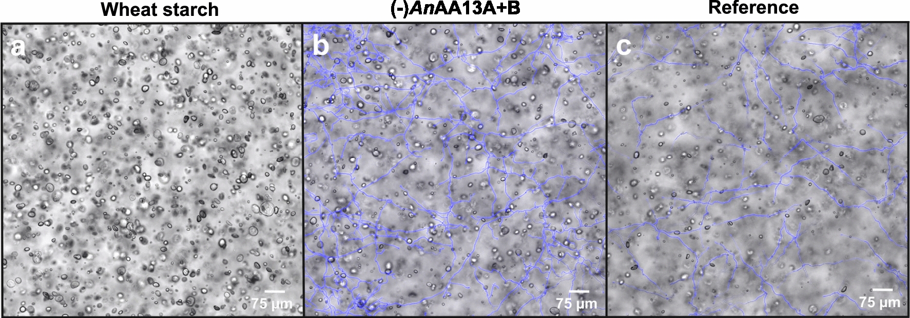 Fig. 4