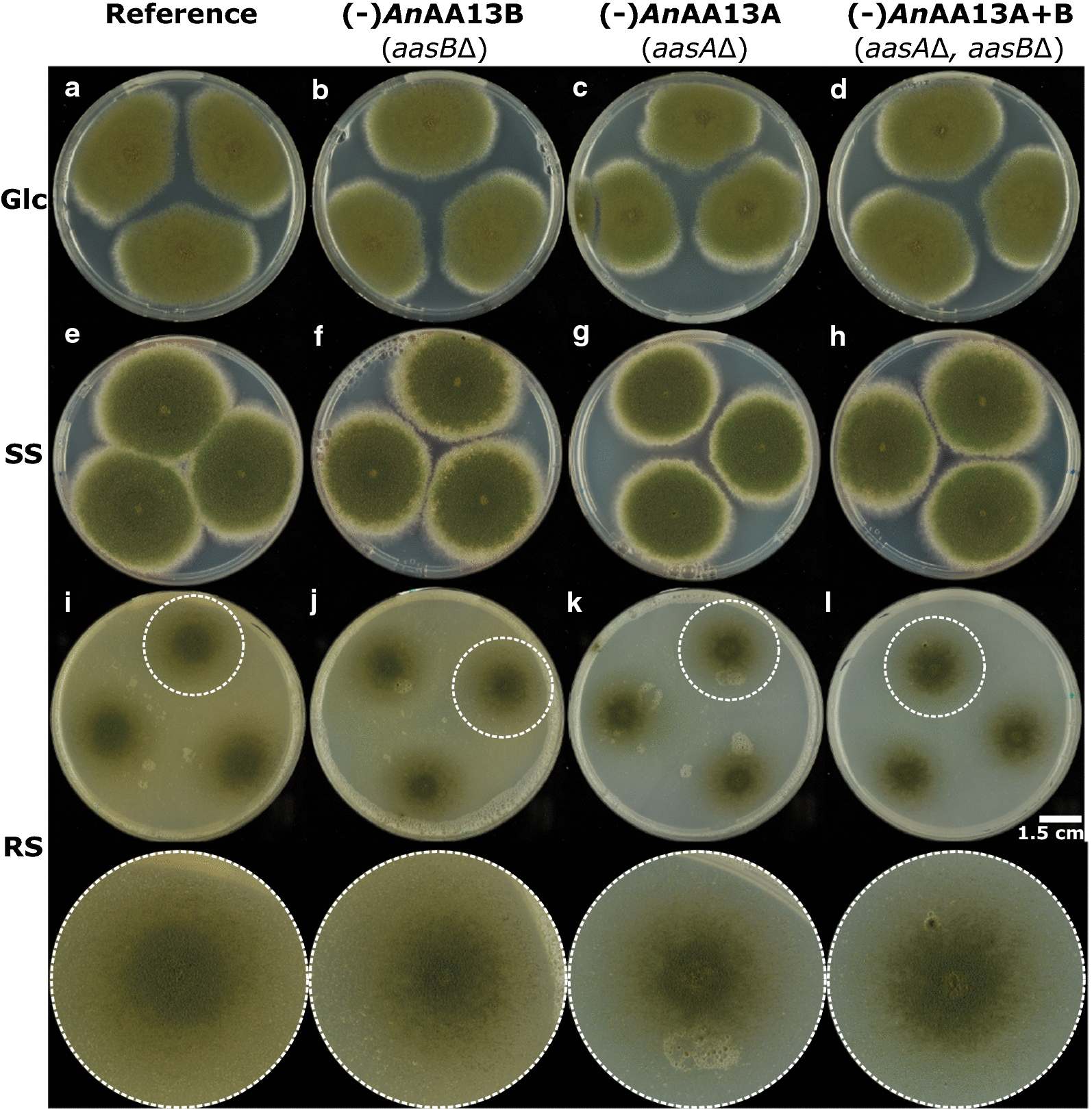 Fig. 2