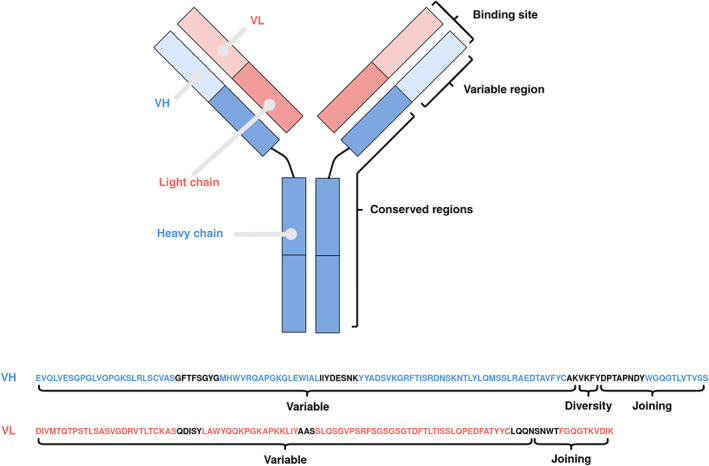 FIGURE 1