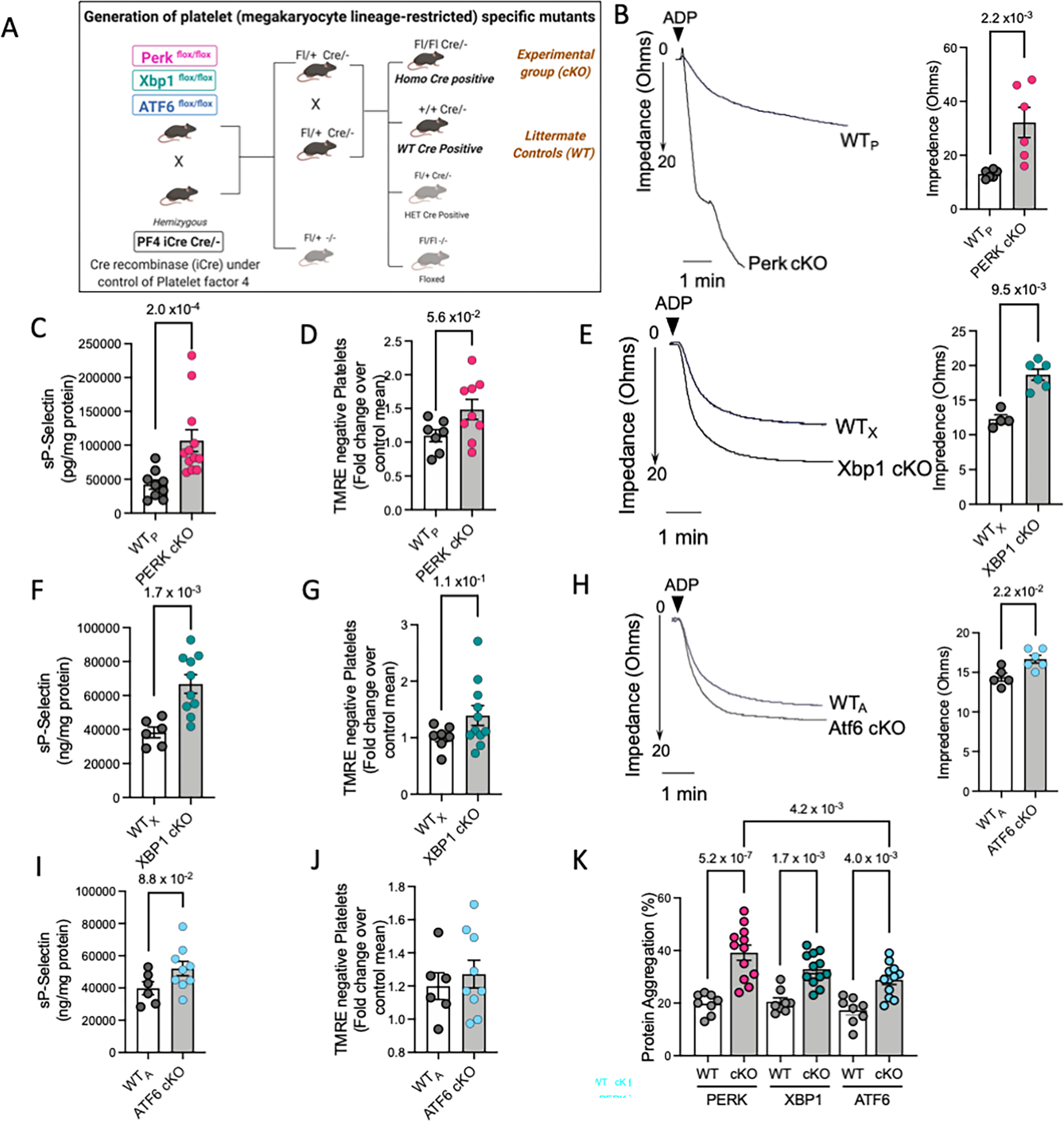 Figure 3: