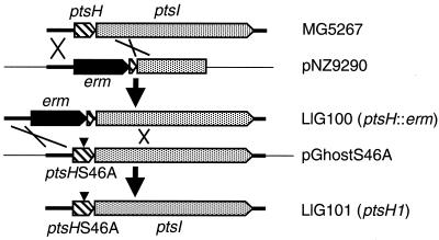 FIG. 1