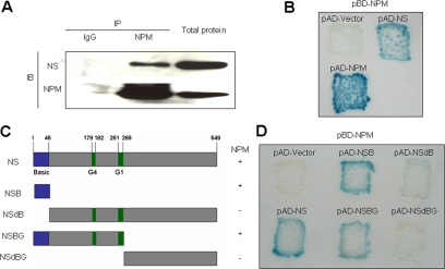 Figure 4.