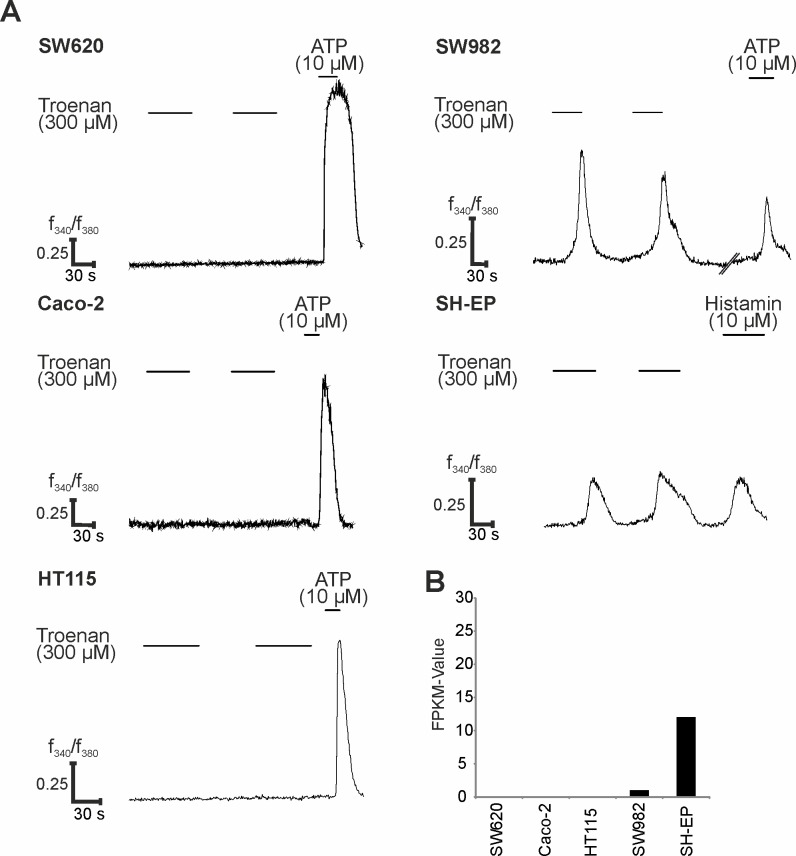 Fig 4