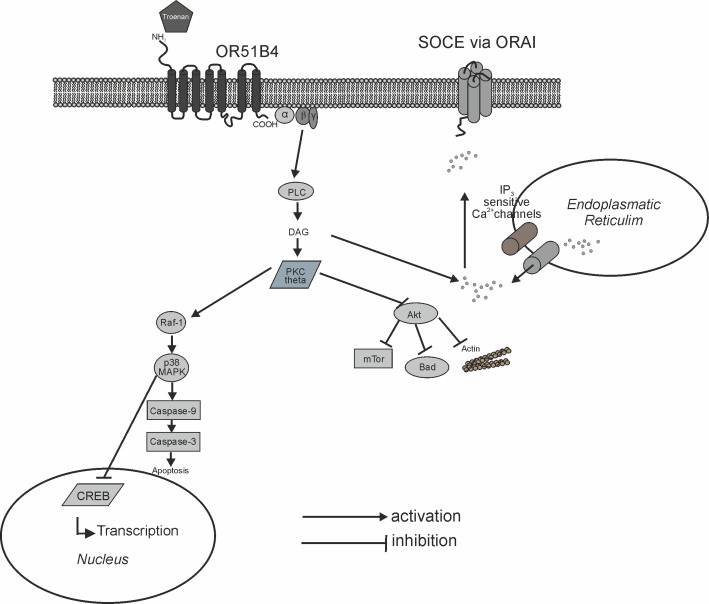 Fig 12