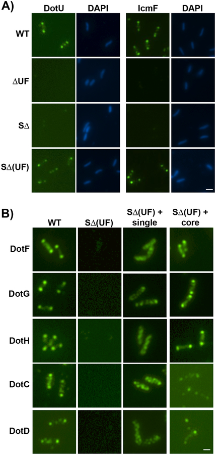 Fig 4.