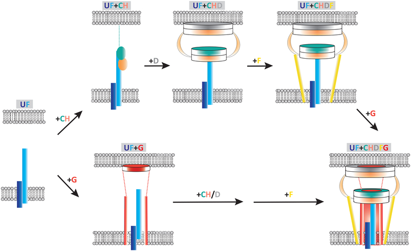 Figure 6.