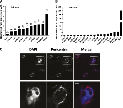 FIG. 4.