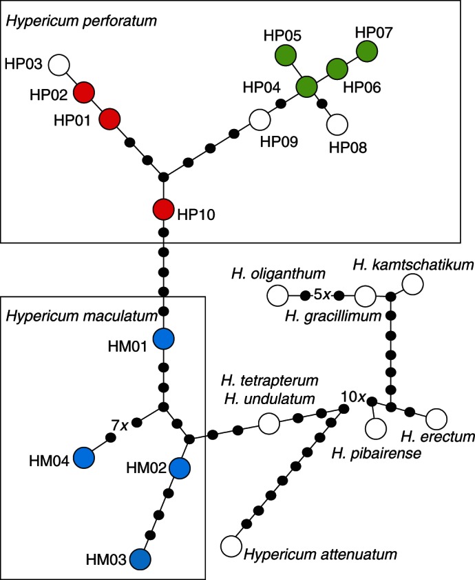 Fig. 2.