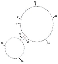 graphic file with name molecules-22-00825-i002.jpg