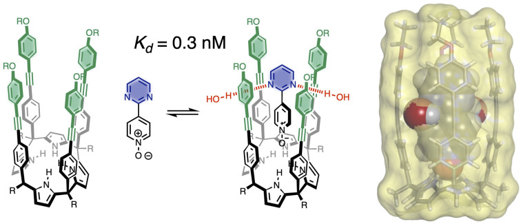 graphic file with name d3sc03824f-ga.jpg