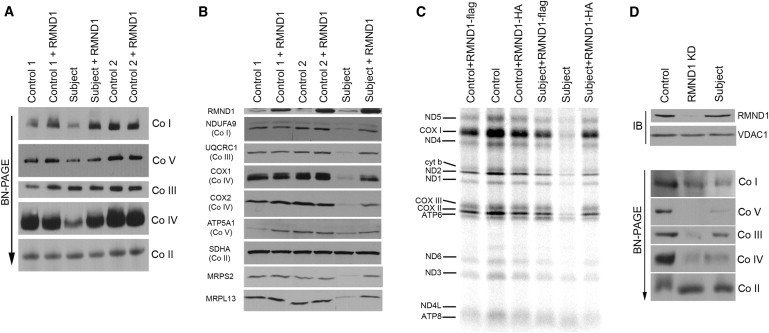 Figure 4