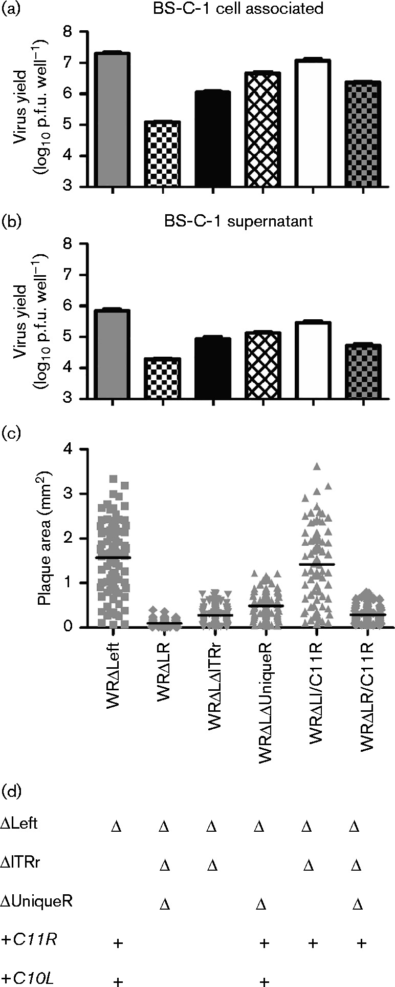 Fig. 8.