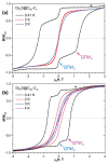 Fig. 2