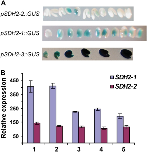 Figure 10.