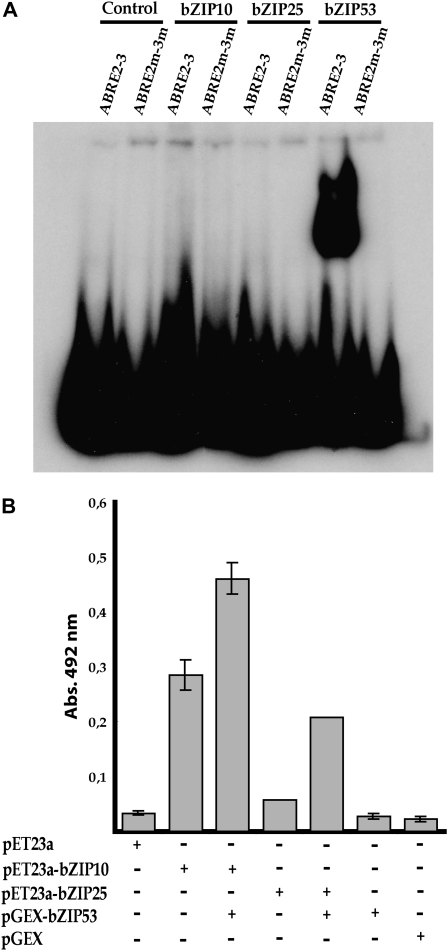 Figure 7.