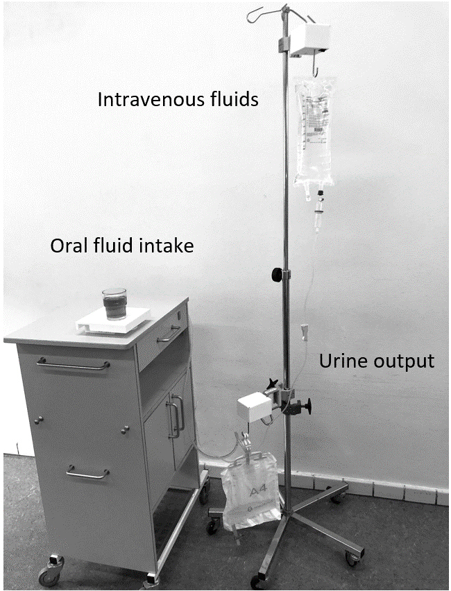 Figure 1.