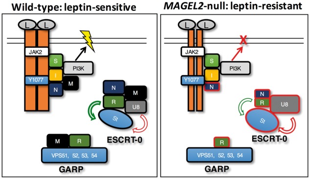 Figure 10.