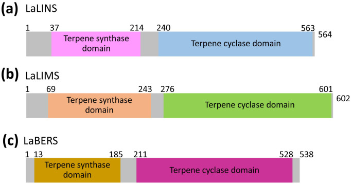 Figure 1