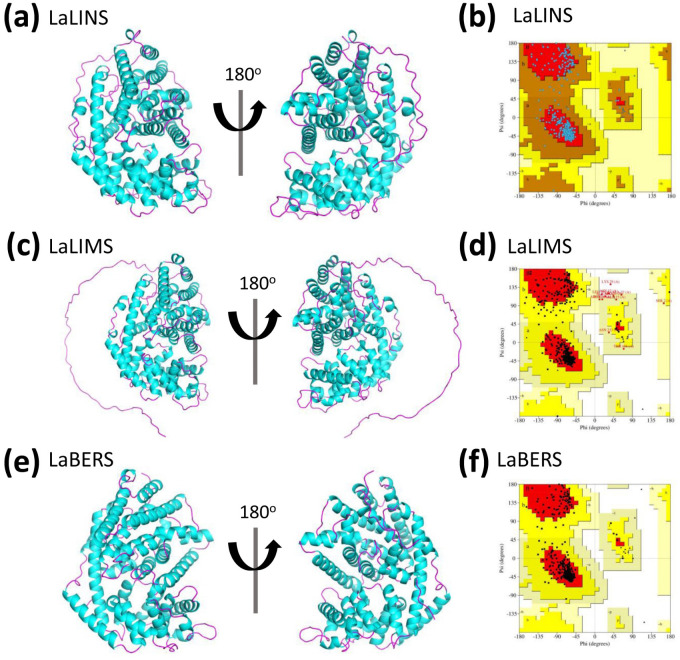 Figure 2