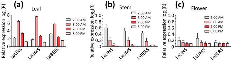 Figure 6