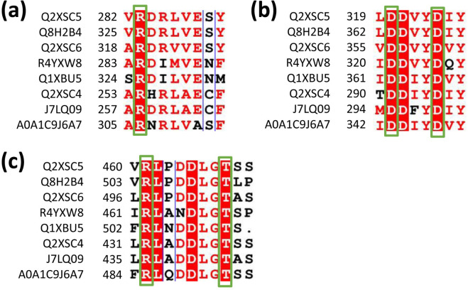 Figure 4