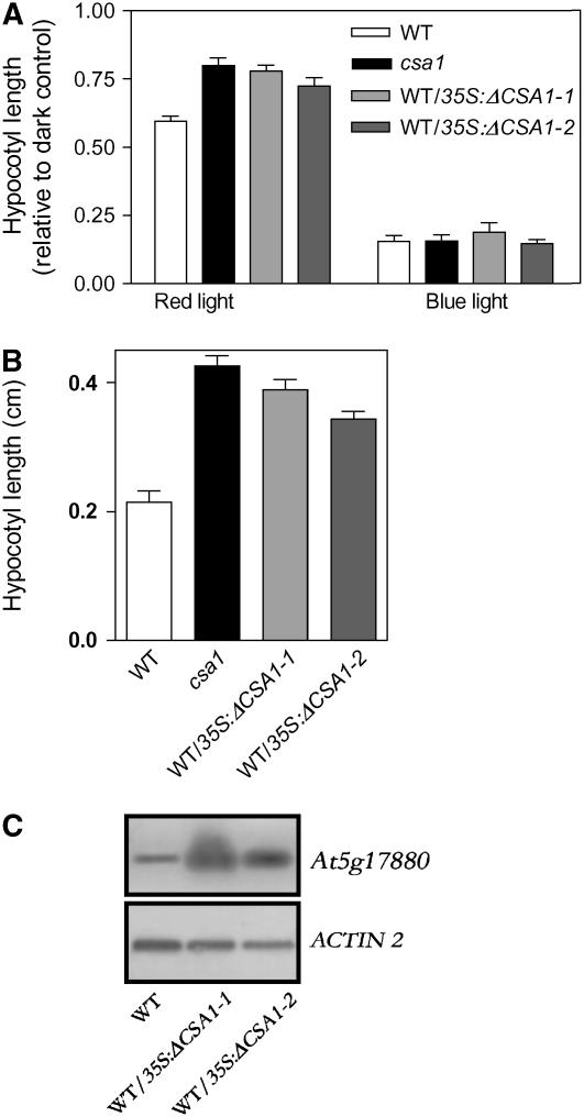 Figure 7.