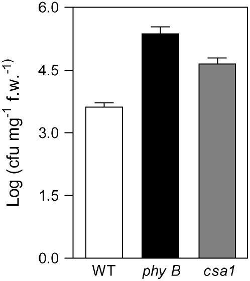 Figure 10.