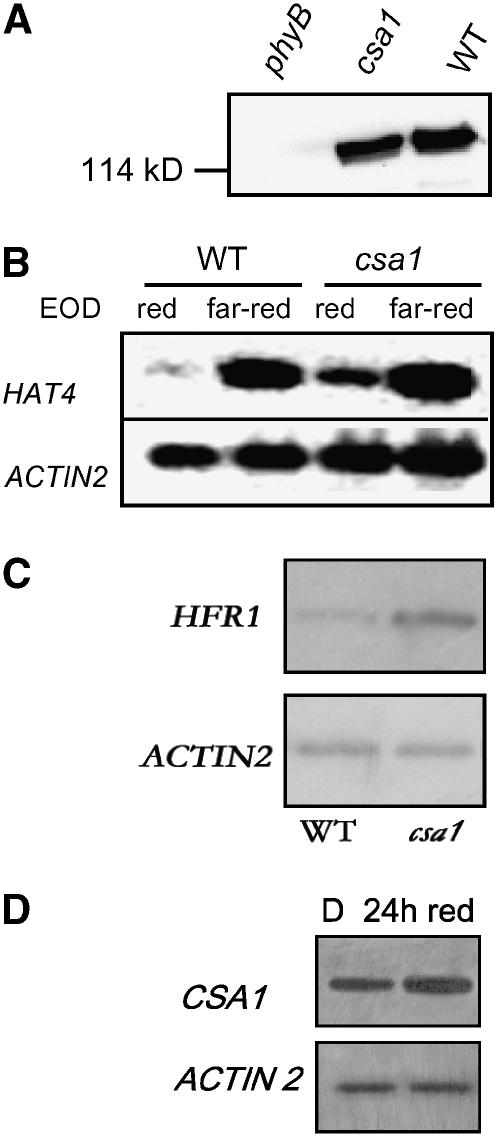 Figure 9.