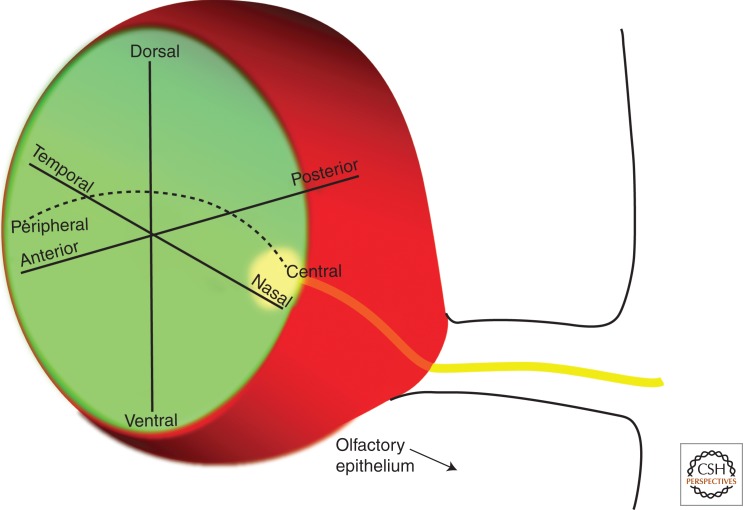 Figure 6.