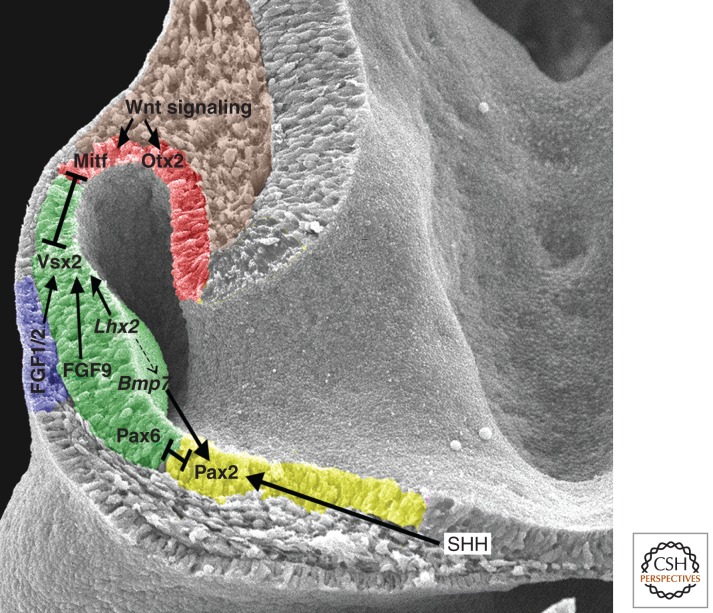 Figure 3.