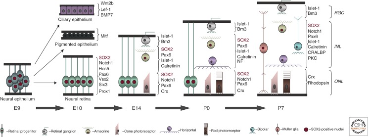 Figure 7.