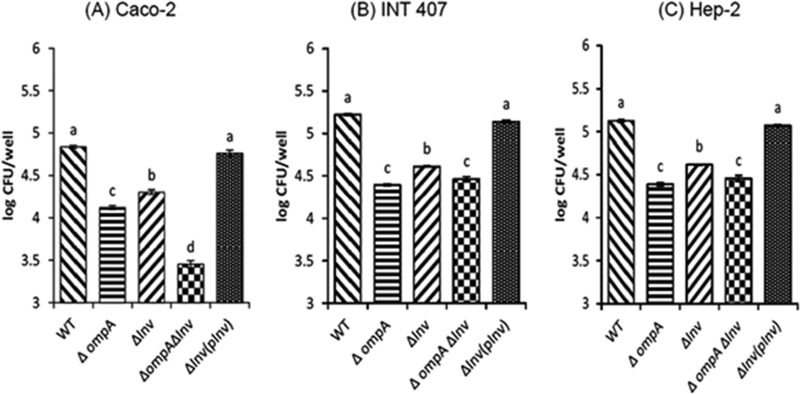 FIG 2