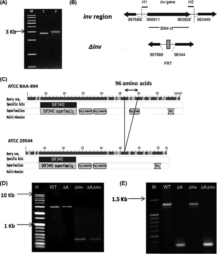 FIG 1