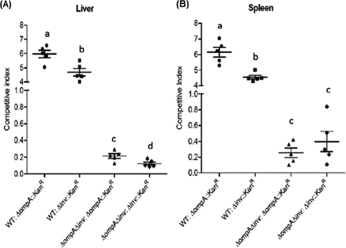 FIG 6