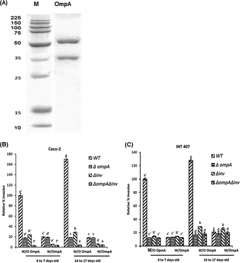 FIG 3