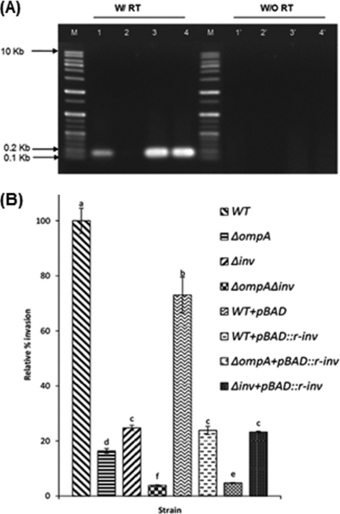 FIG 4