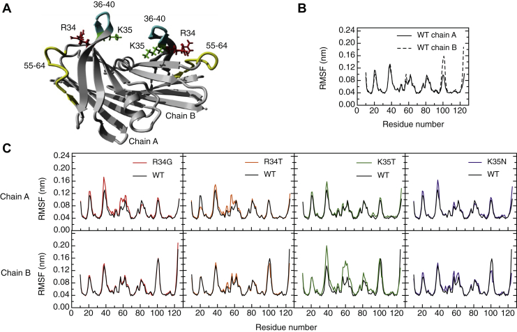 Figure 5