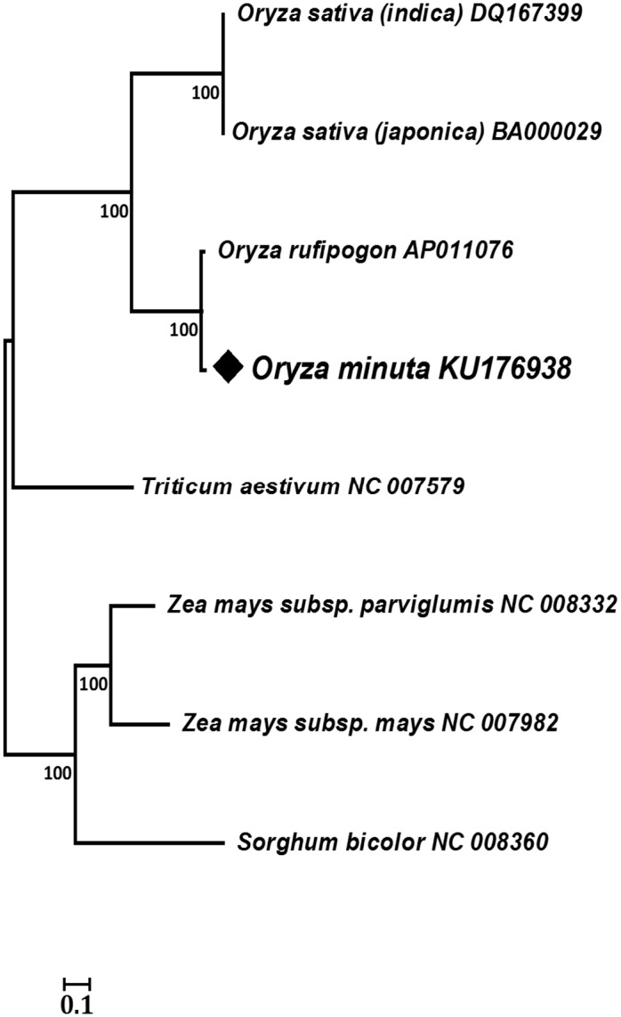 Fig 3