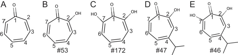 FIG 1