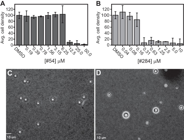 FIG 3