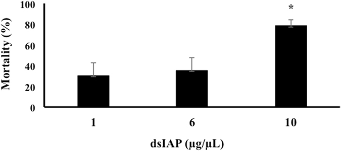 Figure 7