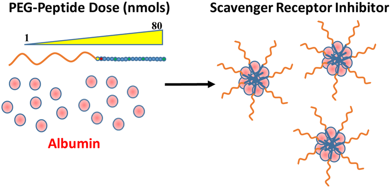 Scheme 1.