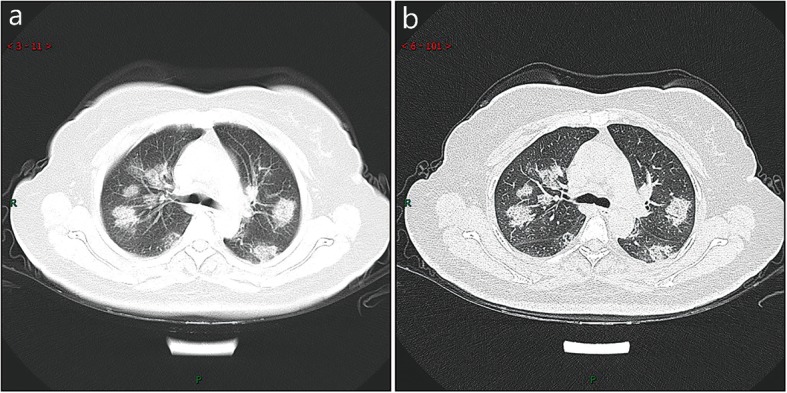 Fig. 8