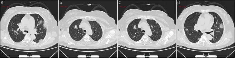 Fig. 5