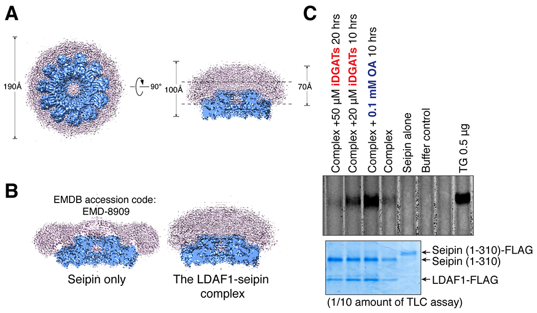 Figure 4.