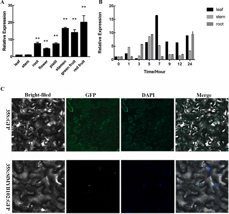 Figure 2