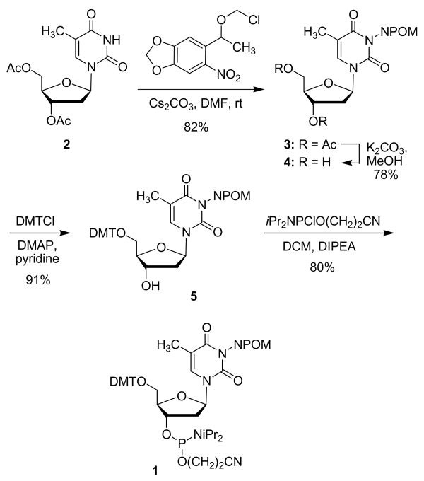 Scheme 1