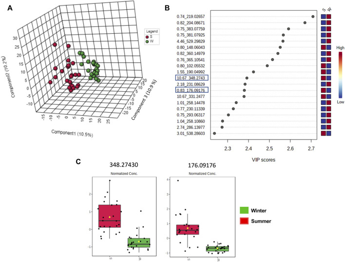 FIGURE 11