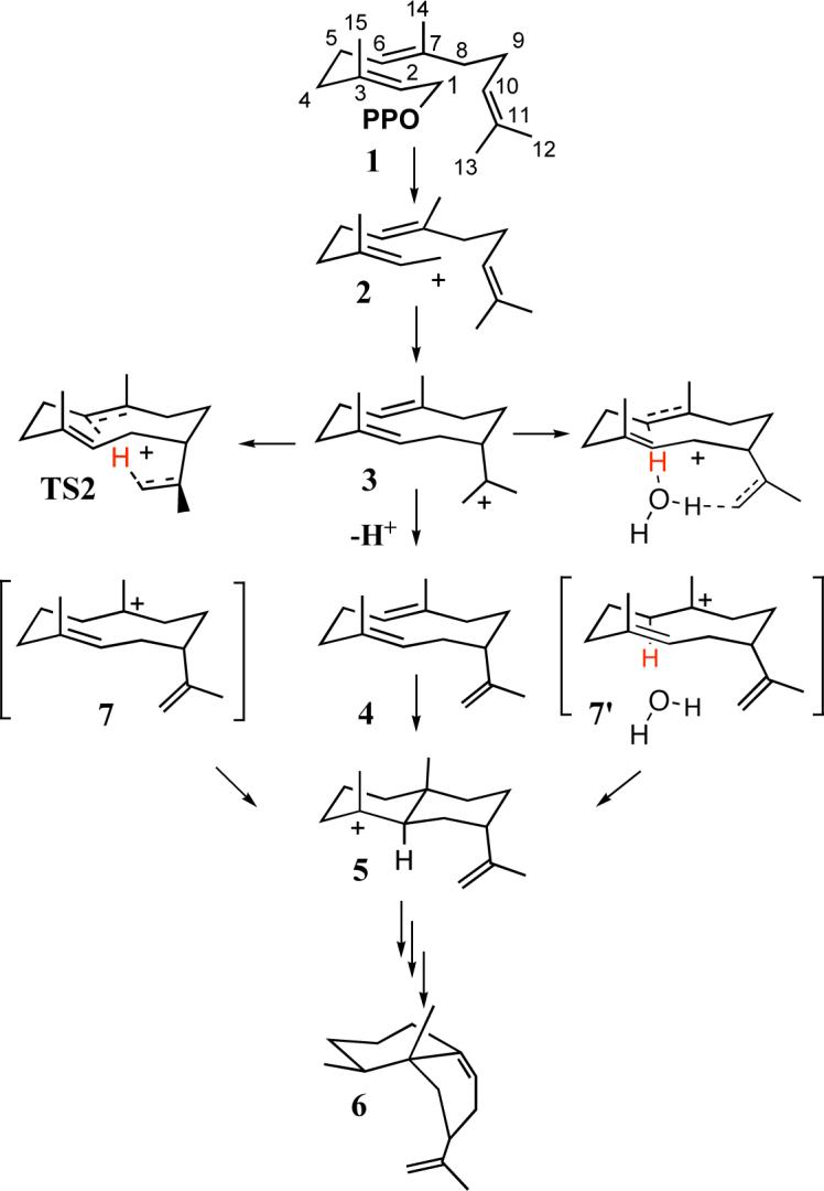 Scheme 1